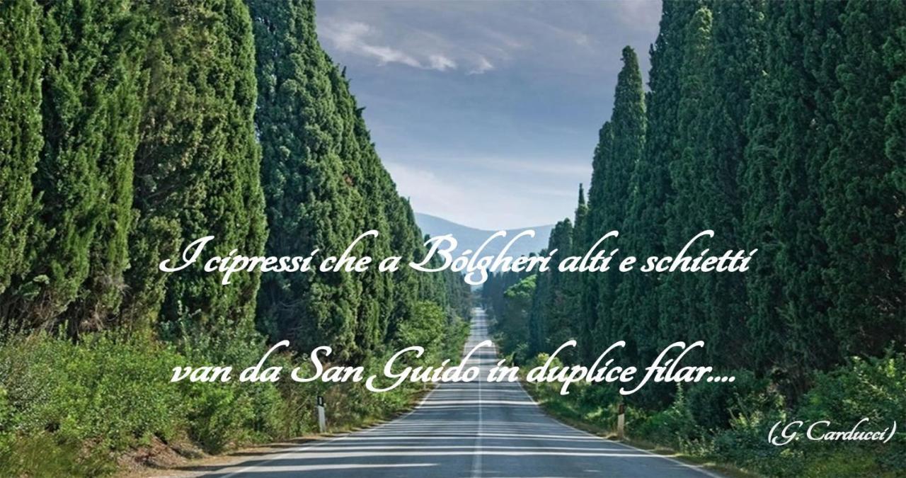 Casa Vacanza Francesca #10 Sassetta Dış mekan fotoğraf